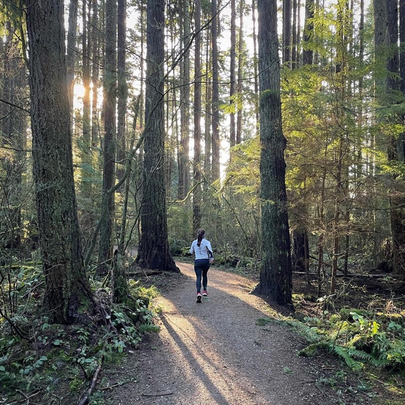 Long run vibes ☀️🌲